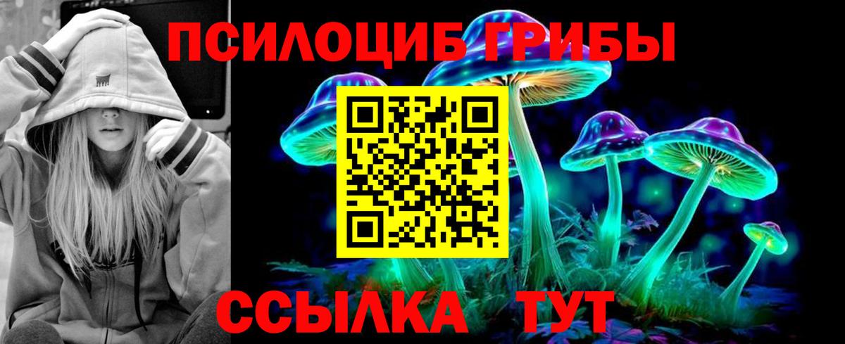 Архангельск  что такое наркотик  Вход с VPN  Галлюциногенные грибы ЛСД 